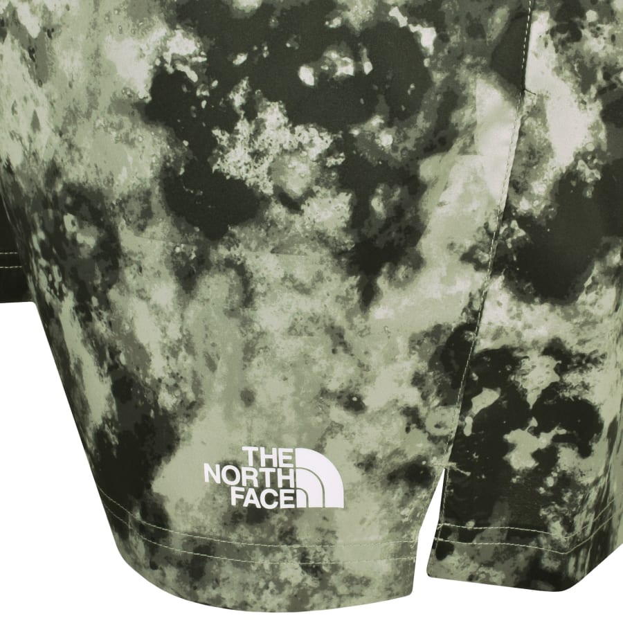 Green north face shorts deals